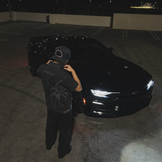 Arachnid Noir Collar